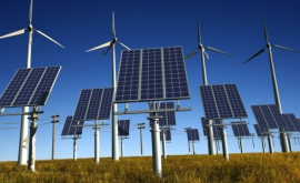 Guvernul cere amînarea implementării legii privind sursele de energie regenerabilă