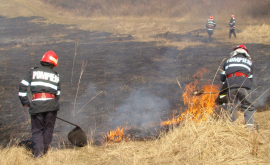 Peste 127 hectare de vegetație au ars în ultimele 24 de ore VIDEO