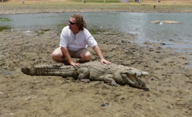 Turiști au înregistrat înotul cu crocodili VIDEO