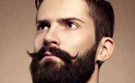 Ученые объяснили почему женщины любят бородатых мужчин 