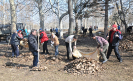 Voluntarii organizează o nouă acțiune de salubrizare la Țîpova