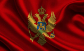 Relațiile comerciale dintre Moldova şi Muntenegru se vor extinde 