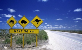 Un băiat de 12 ani a încercat să traverseze Australia cu mașina 