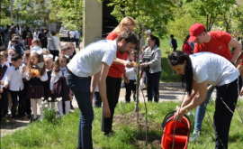 Elevii de la liceul Mihai Viteazul au plantat o livadă de meri