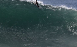 15 rechini au înconjurat surferii în California VIDEO