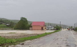 Apa lea distrus tot ce aveau Gospodării din Cimişlia inundate VIDEO