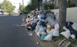 Рука либералов виновна в блокировании вывоза мусора из Кишинева
