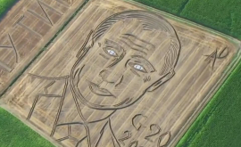 Un portret enorm al lui Putin a apărut pe un lan de grîu în Italia