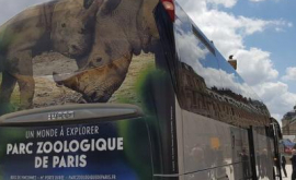 Parlamentarii francezi transportați la Versailles cu un autocar