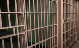 Un colecționar obsedat condamnat la un an de închisoare 