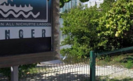 Mexican atacat de un crocodil în piscina hotelului la care lucra
