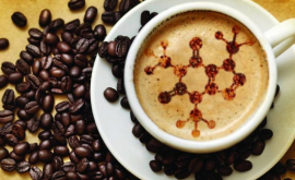 Modificările climatice pun în pericol producția mondială de cafea
