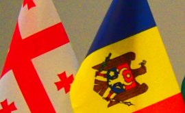 Moldova şi Georgia vor semna Convenţia privind evitarea dublei impuneri