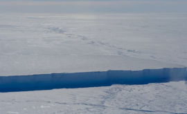 NASA засняло гигантский айсберг в Антарктиде ФОТО ВИДЕО