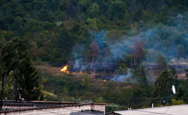 Pădurea dintre sectorul Ciocana și Rîșcani a luat foc