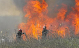 Mai multe incendii au izbucnit în seara zilei de ieri în Chișinău