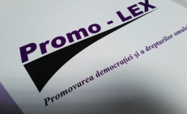 Promo-LEX: Наш долг – не допустить повторения трагедии, как в случае Андрея Брэгуцы