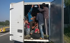 Десятки мигрантов скрывались в грузовике в Германии