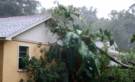 Ураган Мария нанес Карибам огромный ущерб