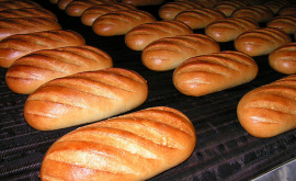 Бесплатный хлеб для стариков в Комрате