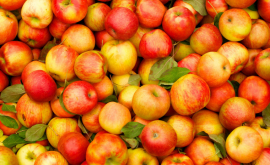 Сколько денег власти выделят для бесплатной раздачи яблок в школах