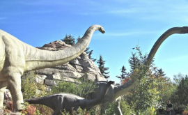 Учёные обнаружили динозавров с зубаминожницами
