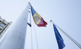 Калмык и Мальмстрём отметили прогресс в торговых отношениях РМ и ЕС