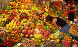 Молдова и Аргентина расширят торговлю сельхозпродукцией