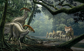 Во Франции наткнулись на огромный след динозавра ФОТО