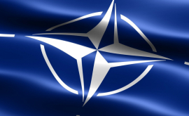 Dodon Deschiderea Oficiului NATO comportă riscuri sporite pentru securitatea națională