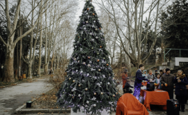 Luminițele primului pom de Crăciun de pe Aleea Colorată au fost aprinse FOTO