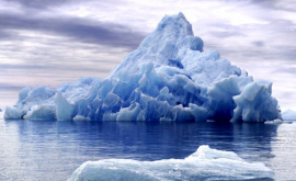 În Antarctica au fost observate specii care se hrănesc doar cu aer
