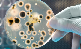 Bacteriile găsite în spațiu ne arată că oamenii contaminează orice ating