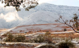 În deșertul Sahara a nins pentru al treilea an la rînd FOTO 