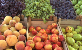 Сколько молдавских фруктов экспортировано в 2017 г в СНГ и ЕС