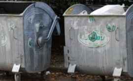 Власти Бельц предложили предпринимателям и жилищным ассоциациям купить мусорные контейнеры за свои деньги