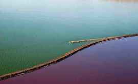 Calea ferată care împarte un lac sărat în două dar de culori diferite FOTO