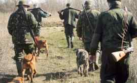 В Молдове 20 января начинается охота на лис и шакалов