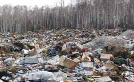 Locuitorii din Cimişlia sufocaţi de o gunoişte ilegală