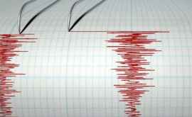 Sistemele de avertizare a cutremurelor pot da greș studiu