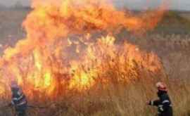 Peste 70 de hectare de vegetație au fost mistuite de flăcări