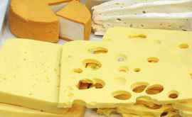 В России пресекли попытку ввоза 19 т польского сыра под видом молдавского