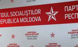 ПСРМ приветствует предоставление Молдове статуса наблюдателя в ЕАЭС