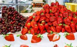 Controale inopinate la producătorii de căpșuni