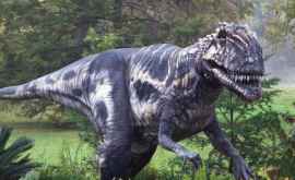 T rex avea nu doar membrele superioare mici