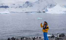 В Антарктиде неожиданно начала подниматься породa