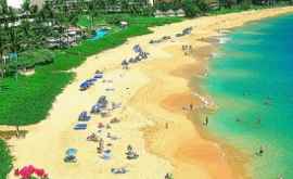 На Гавайях запретят продажу солнцезащитных кремов
