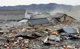 Cutremur cu magnitudinea de 6 grade produs în Japonia