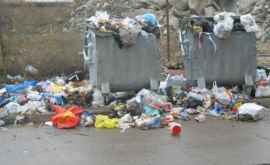 Изза несвоевременного вывоза мусора в Резине разгорелся скандал