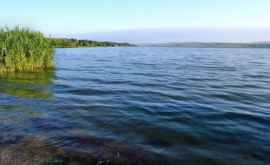 Zeci de pești morți zac pe malul unui lac din satul Hîrtop